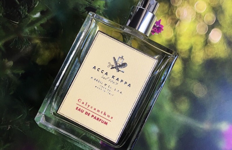 ACCA KAPPA, ACCA KAPPA Calycanthus, ACCA KAPPA Calycanthus Eau De Parfum, ACCA KAPPA Calycanthus EDP, ACCA KAPPA Calycanthus Eau De Parfum รีวิว, น้ำหอม, น้ำหอม ACCA KAPPA, ACCA KAPPA Calycanthus Eau De Parfum 2ml, น้ำหอมที่มีเสน่ห์และหรูหรา, น้ำหอมผู้หญิง, น้ำหอมผู้ชาย, รีวิวน้ำหอม