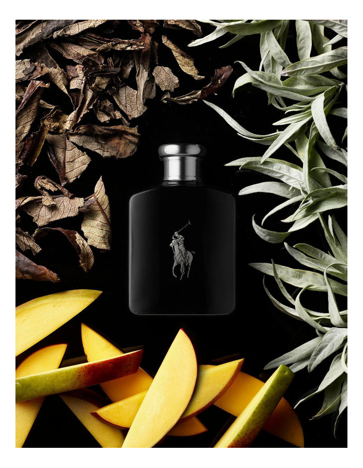 น้ำหอม RALPH LAUREN Polo Black EDT