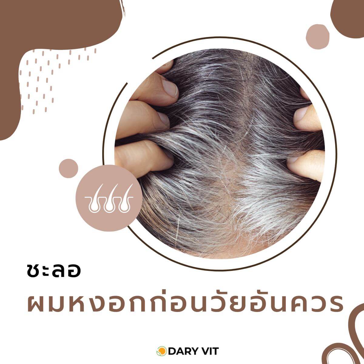 Dary Vit,Dary Vit Biotin Plus,Biotin Plus,ดารี่ วิต ไบโอติน,ไบโอติน 