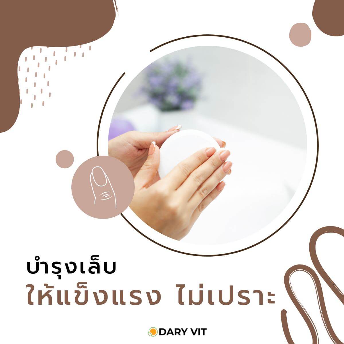 Dary Vit,Dary Vit Biotin Plus,Biotin Plus,ดารี่ วิต ไบโอติน,ไบโอติน 